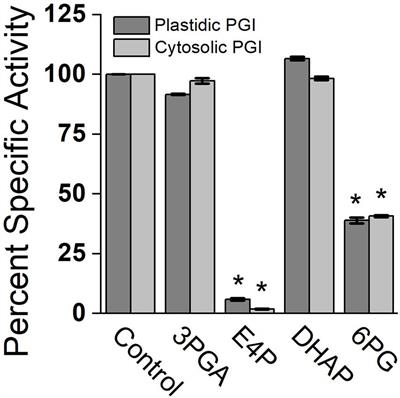 Phosphoglucoisomerase Is an Important Regulatory Enzyme in Partitioning Carbon out of the Calvin-Benson Cycle